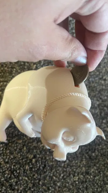 Heo Đất Có Đầu Tháo Rời - Image 5