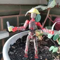 Lucky 13 Arborist - Phụ kiện đốn cây chuyên nghiệp - Thumbnail 4
