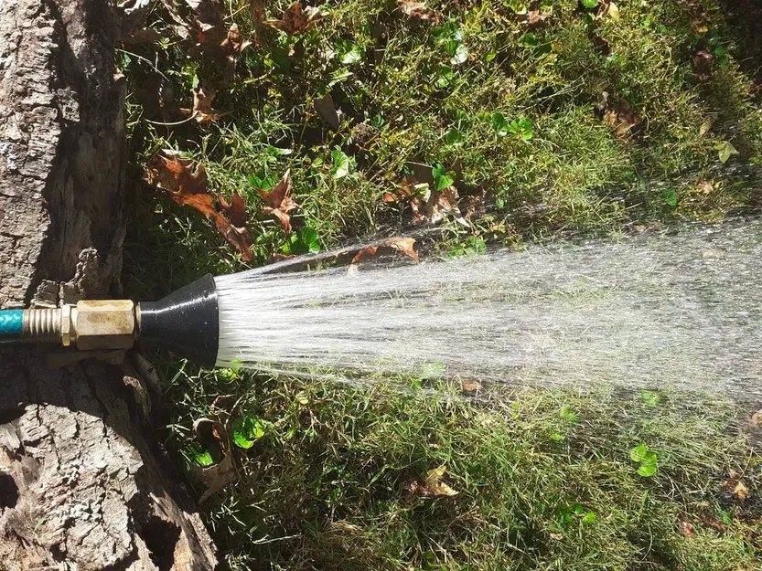 Bình Xịt Tưới Vườn Có Thể Tùy Chỉnh - Image 1