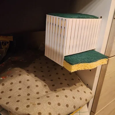 Hộp đựng bọt biển