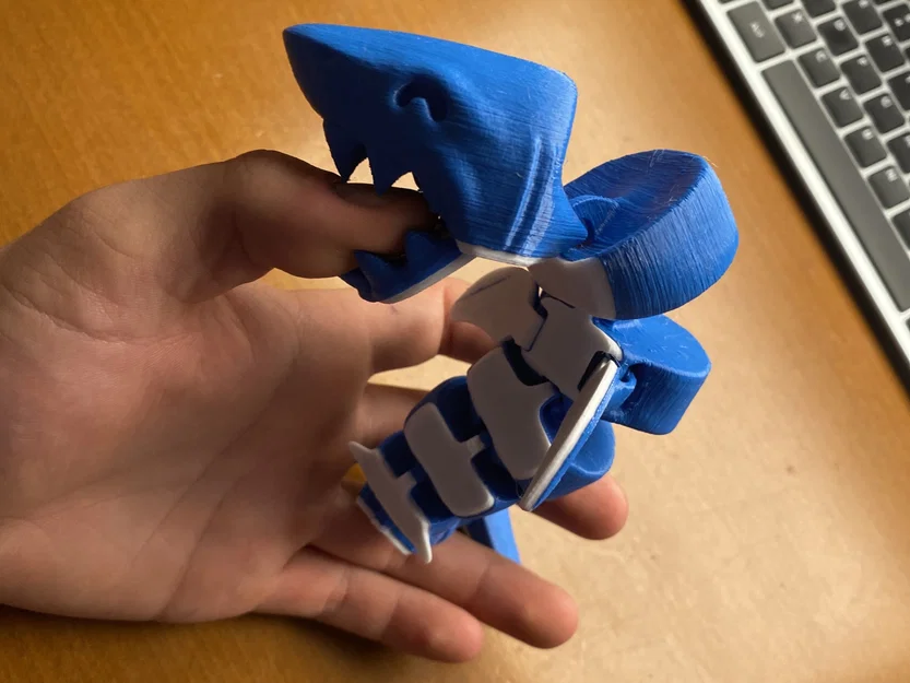 Cá mập nhiều màu - Image 1