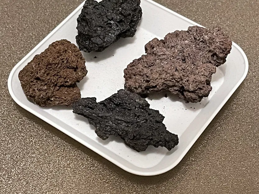 Khay Đựng Bàn Chải Kẽ Răng (Curaprox,..) - Image 2