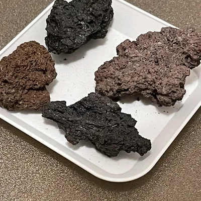 Khay Đựng Bàn Chải Kẽ Răng (Curaprox,..)