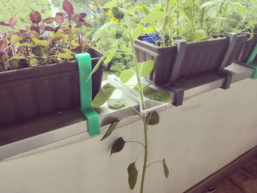 Giá đỡ cây hướng dương cho ban công - Image 1