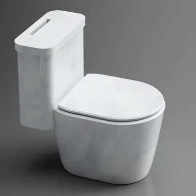 Flush your savings down the toilet!