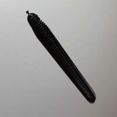 Rắn dẻo TPU (có tham số)