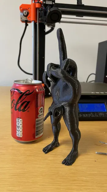 Người Đàn Ông Giơ Hai Ngón Giữa - Image 2