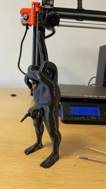 Người Đàn Ông Giơ Hai Ngón Giữa - Image 4