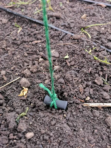 Cọc neo đất giàn cà chua bằng dây dọc - Image 2