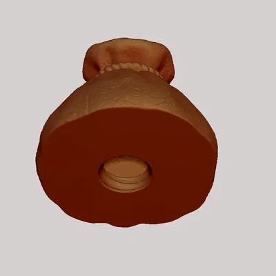 Bao tiền - Heo đất