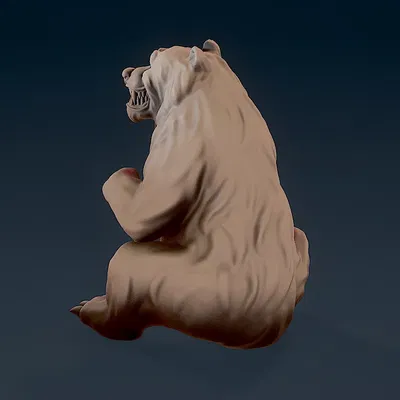 Gấu Toothy phiên bản giận dữ