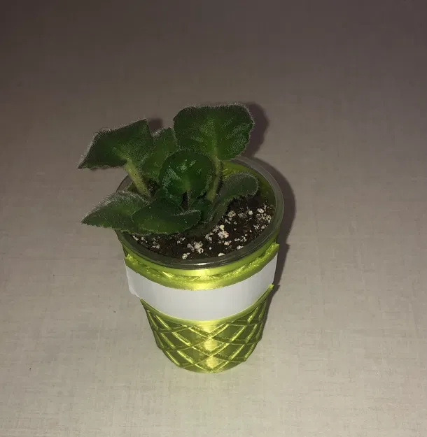 Chậu Trồng Mini Violet, Xương Rồng và Sen Đá - Image 3