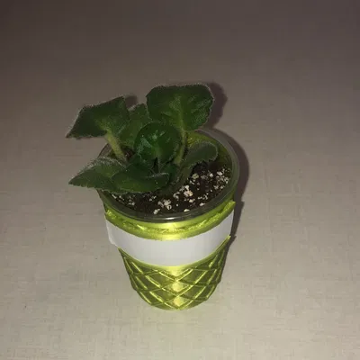 Chậu Trồng Mini Violet, Xương Rồng và Sen Đá