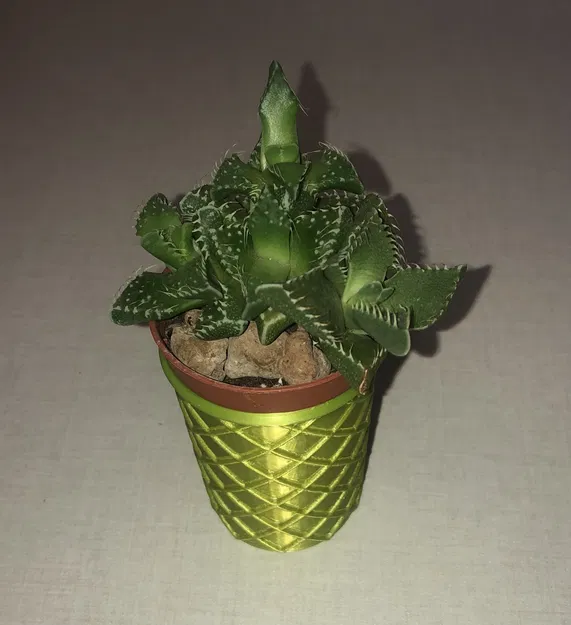 Chậu Trồng Mini Violet, Xương Rồng và Sen Đá - Image 5