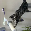 Wall Mounted Cat Step (light) - Thumbnail 3