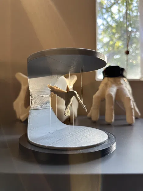 Chim Ruồi Treo Lơ Lửng - Image 3