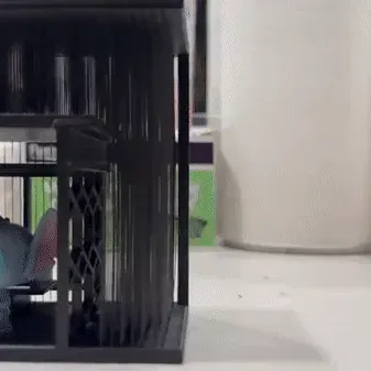 Trạm xe buýt dưới mưa