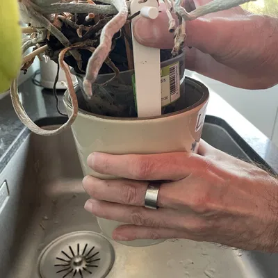 Dụng Cụ Nâng Chậu Lan Tự Tưới