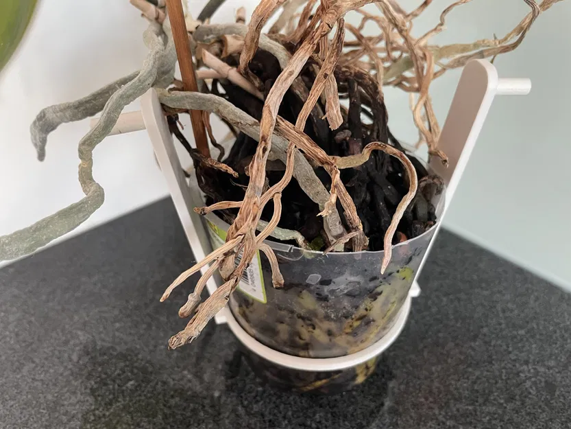 Dụng Cụ Nâng Chậu Lan Tự Tưới - Image 3