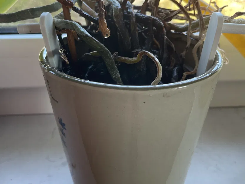 Dụng Cụ Nâng Chậu Lan Tự Tưới - Image 4