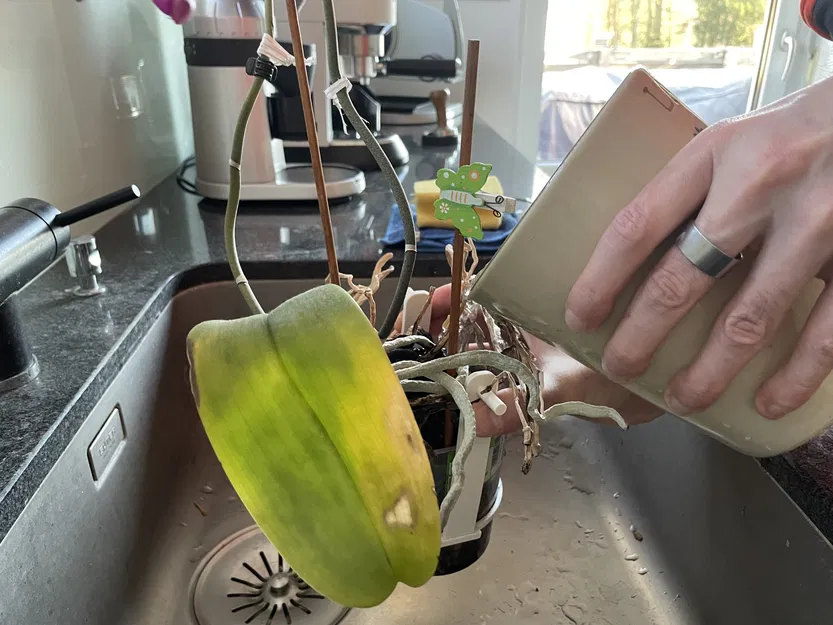 Dụng Cụ Nâng Chậu Lan Tự Tưới - Image 5