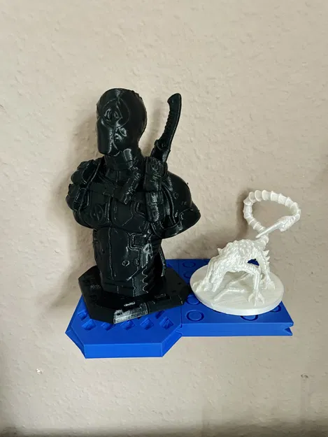 Customizable Display Shelf_no supports needed - Image 2