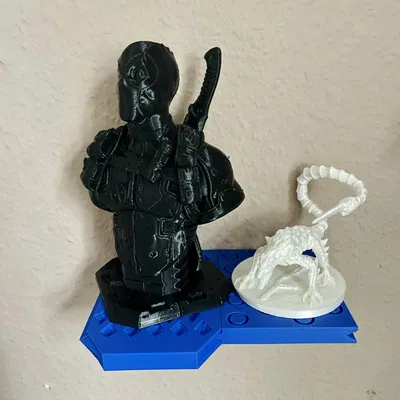 Customizable Display Shelf_no supports needed