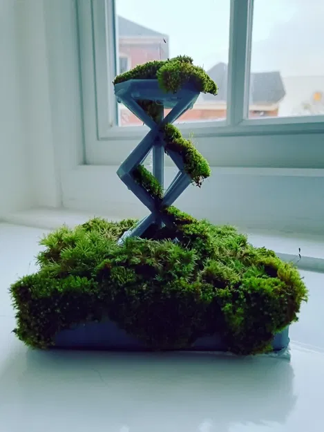 Chậu Cây Spacemesh - Image 1