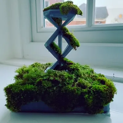 Chậu Cây Spacemesh