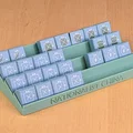 Conquest & Consequence: Nation Cadre Holders - Thumbnail 7