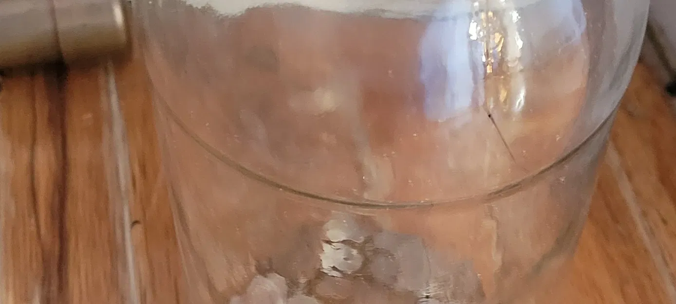 Vlasic Pickle Jar Bank Lid - Image 3