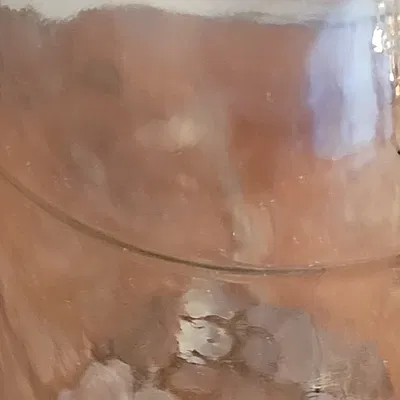 Vlasic Pickle Jar Bank Lid