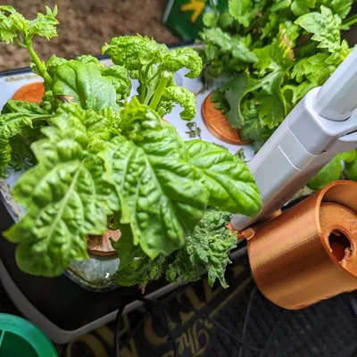 Hộp Đựng Nắp AeroGarden