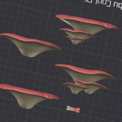 Nam Châm Kệ Nấm Có Lỗ Nam Châm 6x3mm