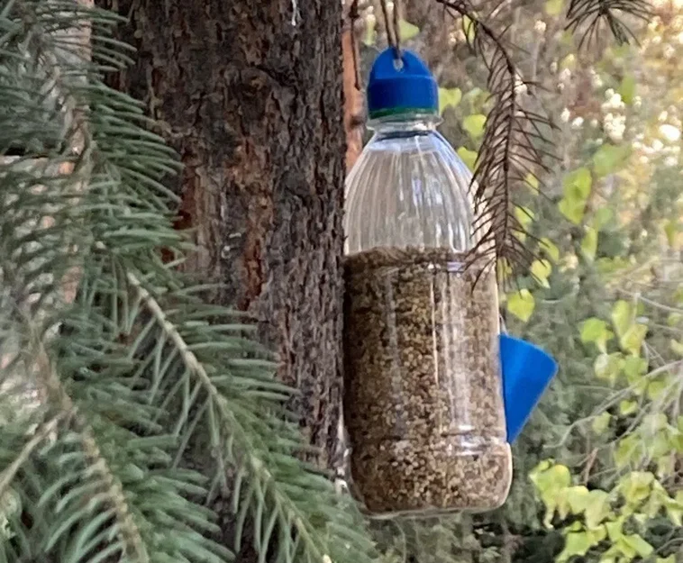 Máng ăn cho chim thân thiện với môi trường kèm bộ phân phối - Image 1