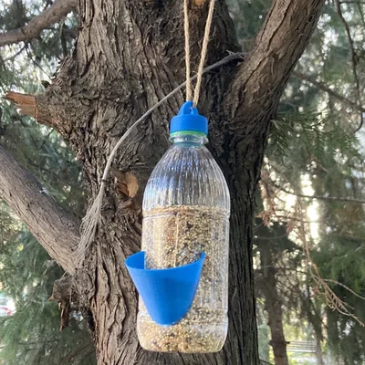 Máng ăn cho chim thân thiện với môi trường kèm bộ phân phối