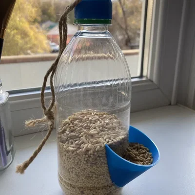 Máng ăn cho chim thân thiện với môi trường kèm bộ phân phối