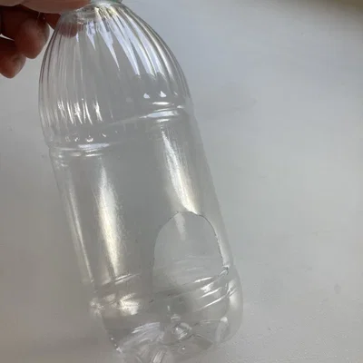 Máng ăn cho chim thân thiện với môi trường kèm bộ phân phối