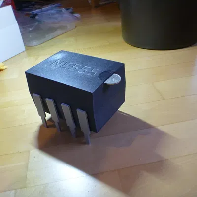 Heo Đất/Sparschwein NE555