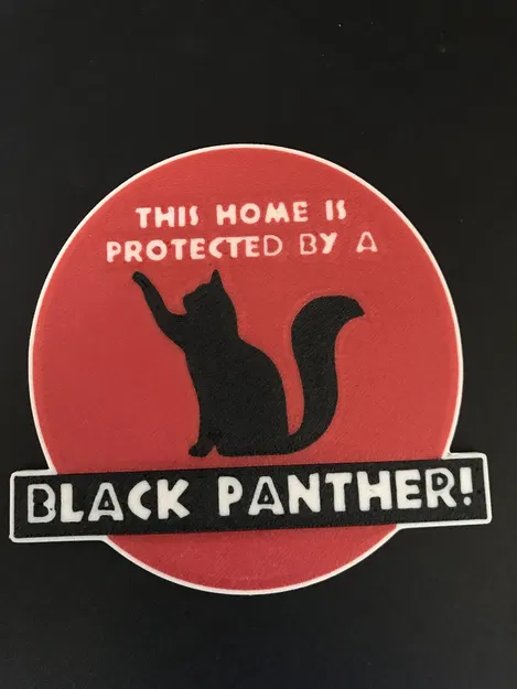 THIS HOME IS PROTECTED BY A BLACK PANTHER - Image 1