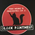 THIS HOME IS PROTECTED BY A BLACK PANTHER - Thumbnail 1