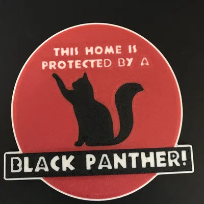 THIS HOME IS PROTECTED BY A BLACK PANTHER