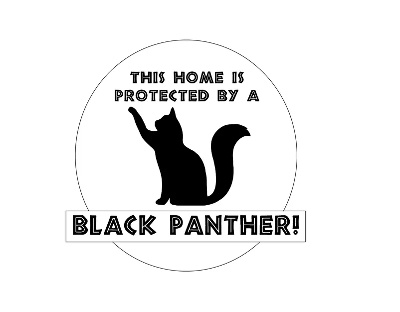 THIS HOME IS PROTECTED BY A BLACK PANTHER - Image 2