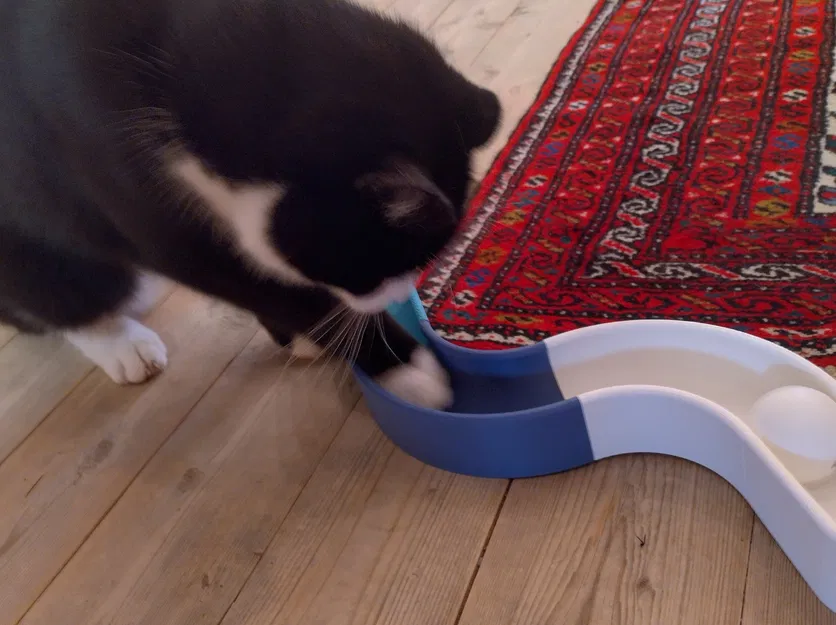 Đồ chơi đường ray cho mèo dạng module - Image 3