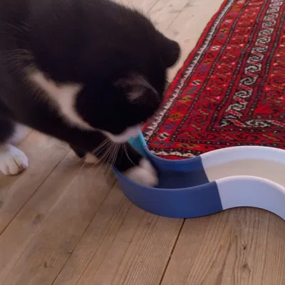 Đồ chơi đường ray cho mèo dạng module