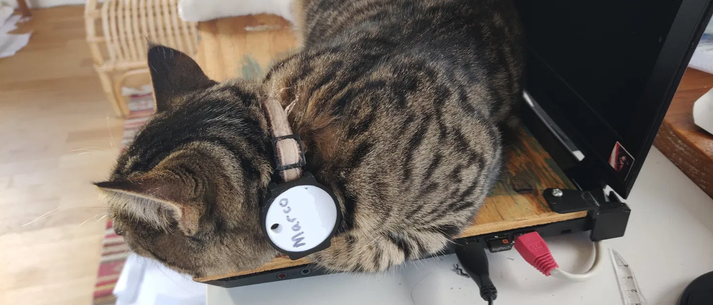 Giá đỡ Chipolo One cho vòng cổ mèo - Image 1