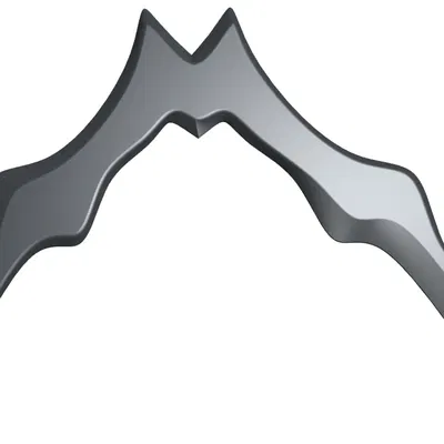 Bat Boomerang