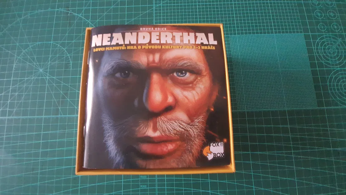 Insert Cho Game Neanderthal - Image 2