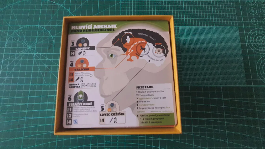 Insert Cho Game Neanderthal - Image 3