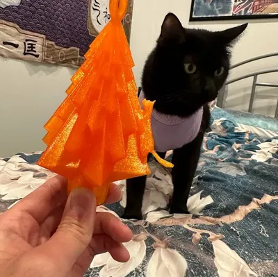 Mèo Leo Cây Thông Trang Trí Giáng Sinh